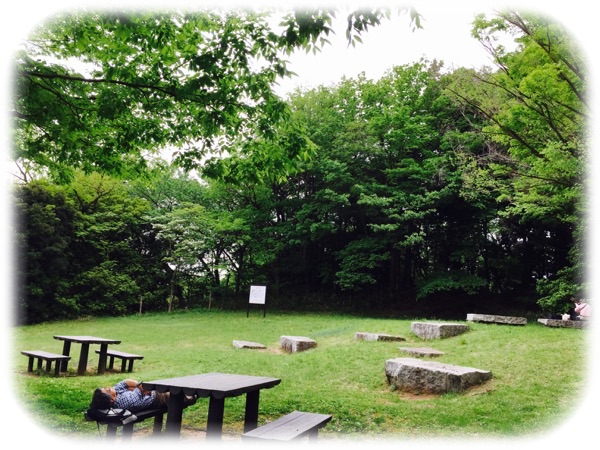 新緑の大池公園